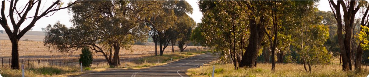 Winding Road north of Canberra, Australia.