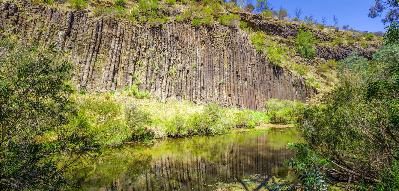 Organ Pipes National Park lies within easy driving distance of Airport West.