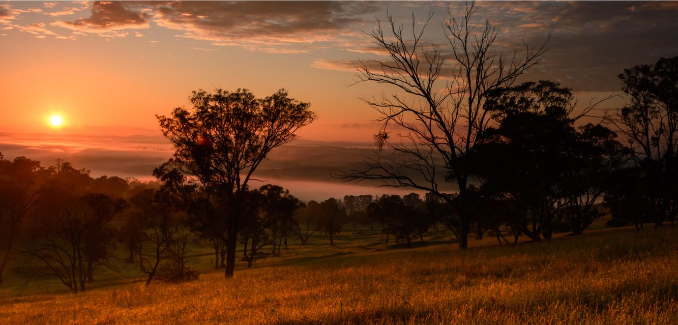 A beautiful sunrise over Bathurst’s rural surrounds.