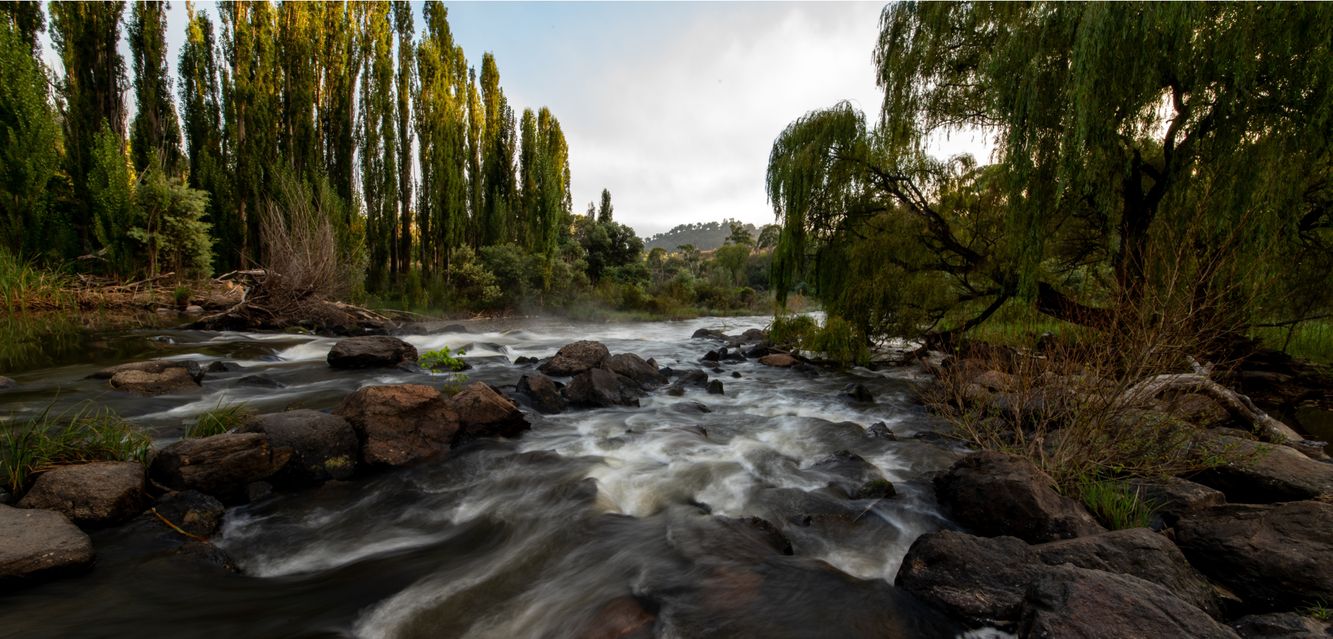 Sunset by the river in Cooma, New South Wales.