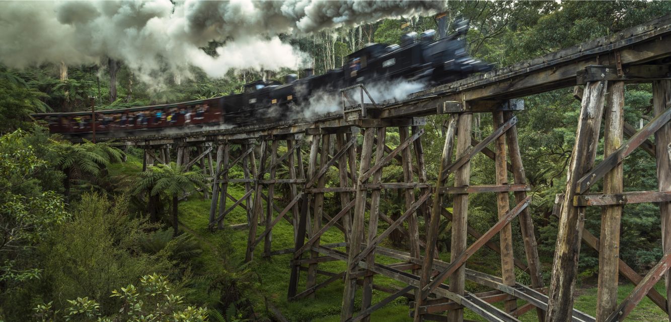 A steam train on a wooden trestle railway bridge in Ferntree Gully.