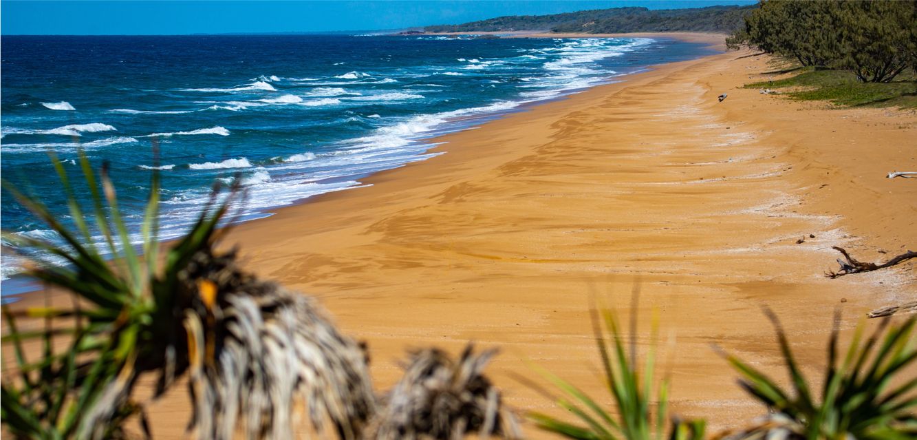 A deserted stretch of beach near Gladstone, Queensland.