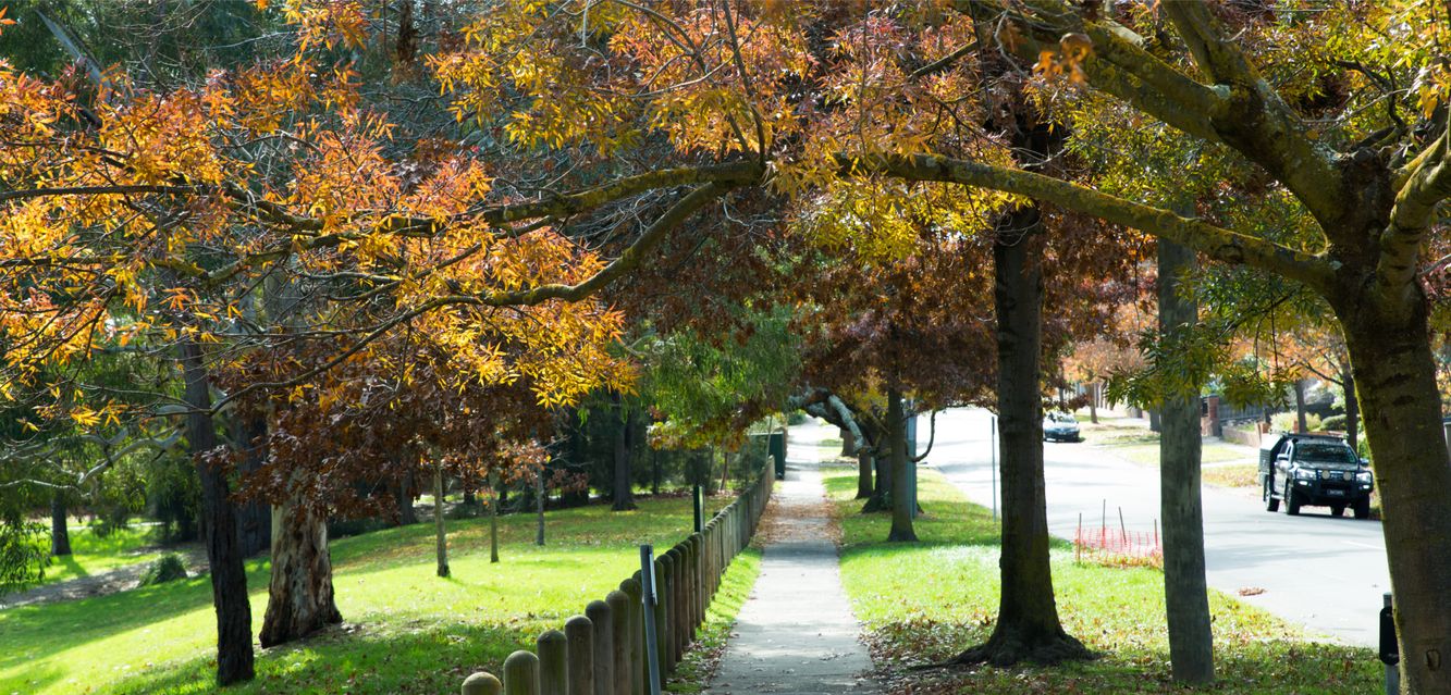 Residential street in Autumn, Glen Iris, Melbourne.