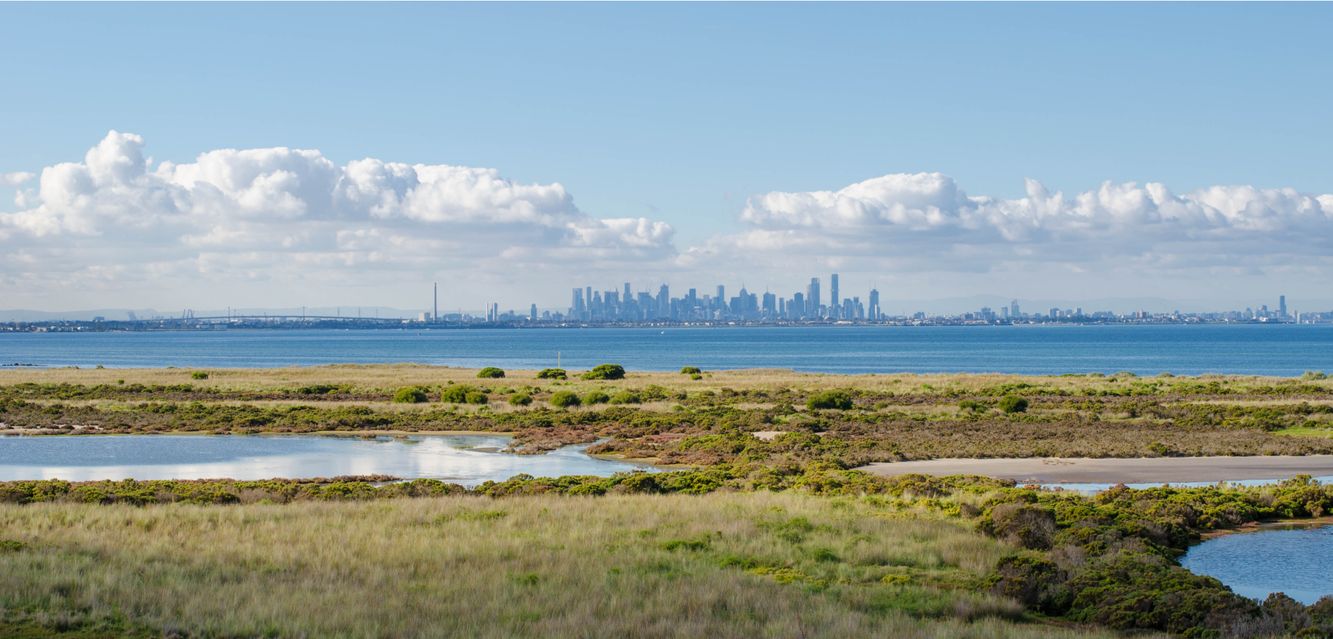 The Melbourne skyline from the Cheetham Wetlands near Hoppers Crossing.