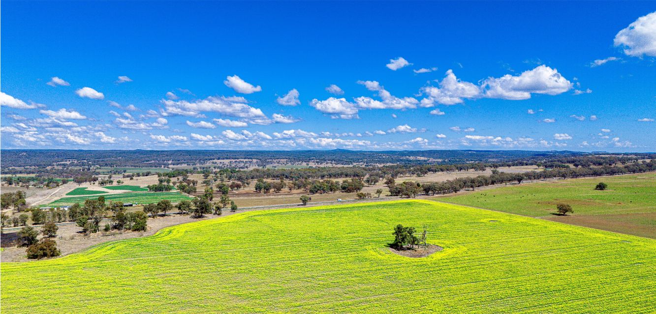 Rural scenes outside Inverell.