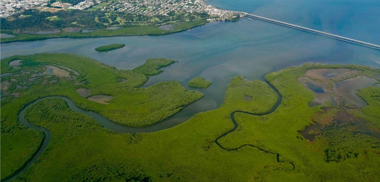 An aerial view of Kippa-Ring and Hays Inlet Conservation Park near Brisbane, Queensland.