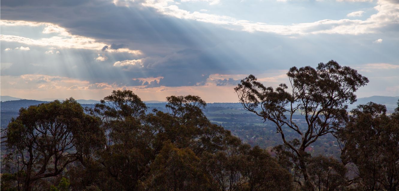 On the Majura Track, not too far from Mitchell, ACT.
