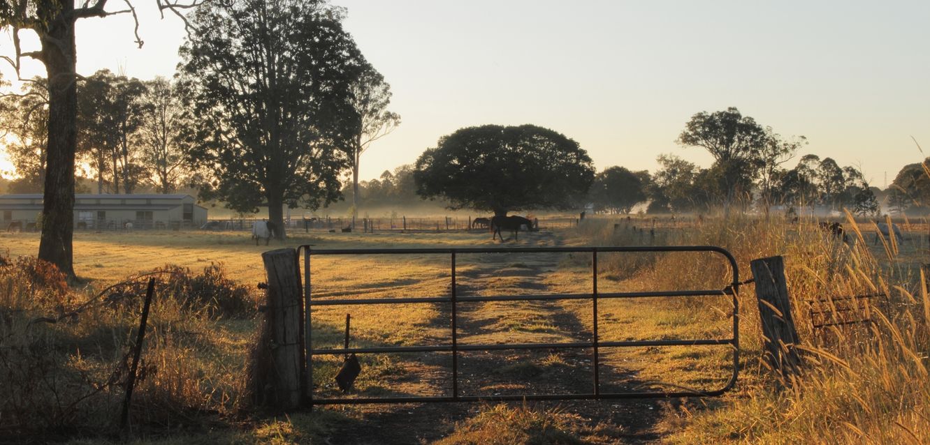 A rural scene outside Morayfield in Queensland.