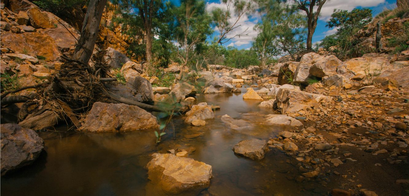 Bushland scenes near Mt Isa, Queensland.