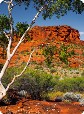 Beautiful Australian landscape in the Northern Territory, Australia.