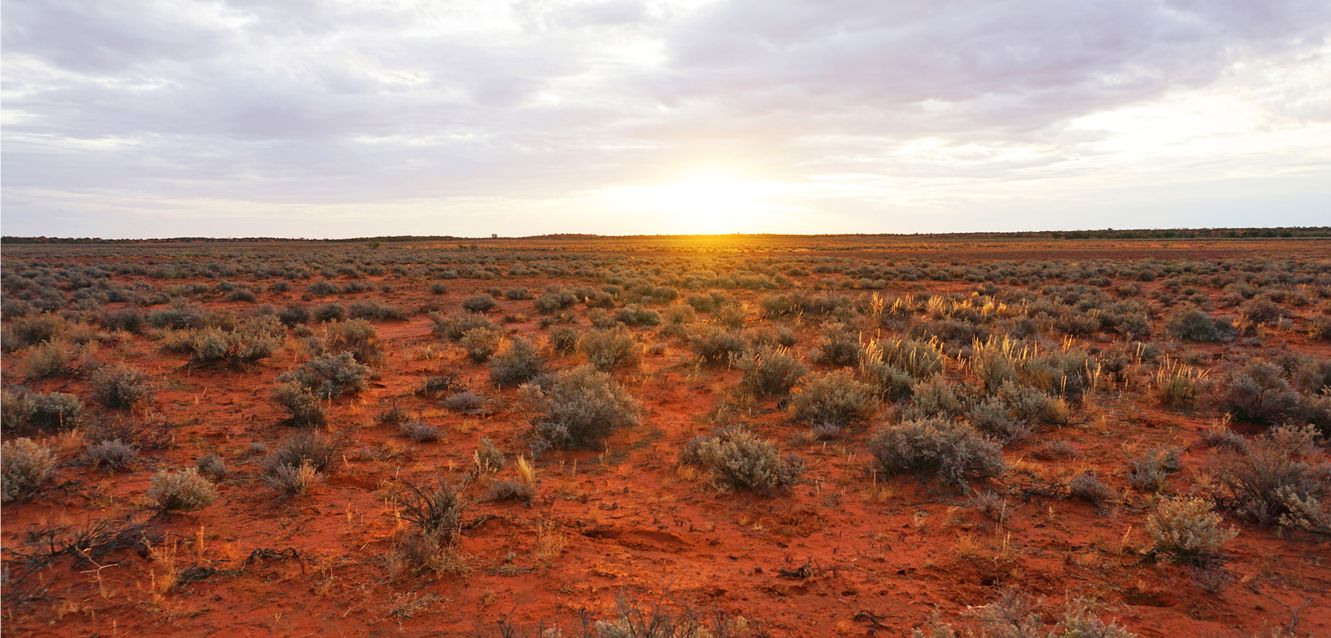 Outback scenery near Olympic Dam, South Australia.