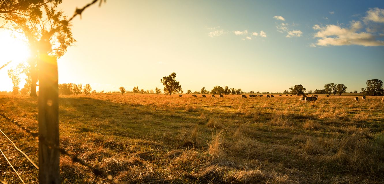 Outback scenes near Orange, New South Wales.