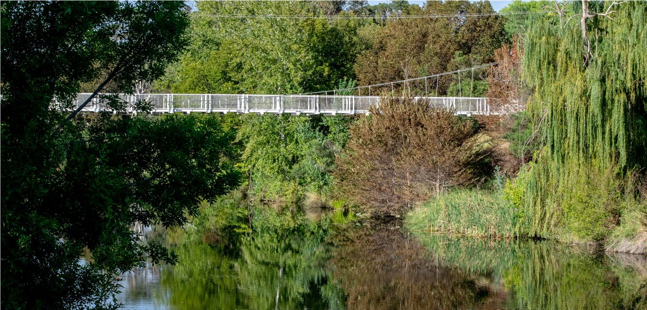 Queanbeyan suspension bridge.
