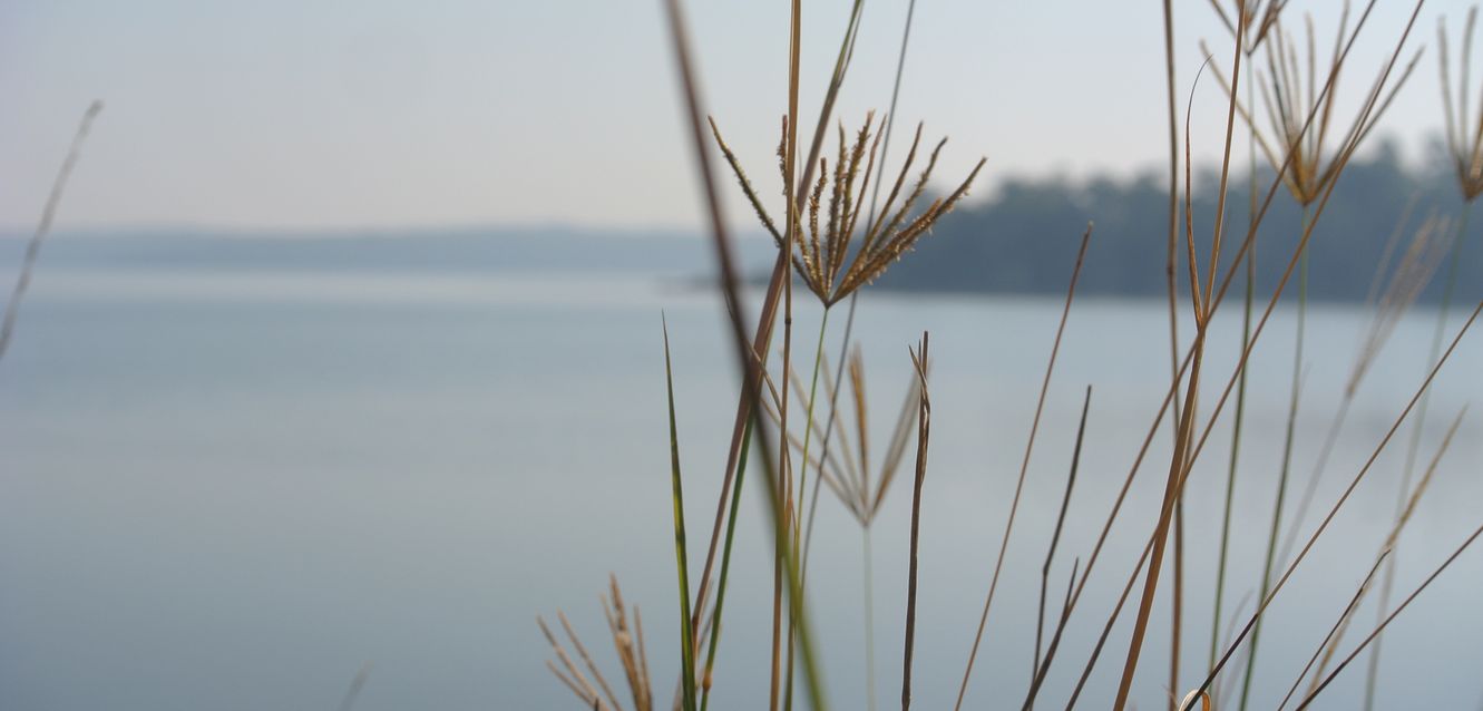 Prospect Reservoir near Smithfield, Sydney.