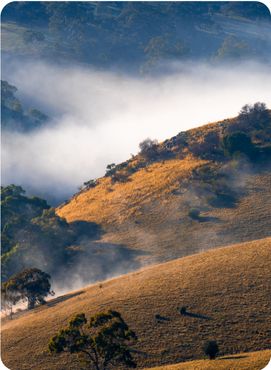 Fog in the Adelaide Hills, South Australia.