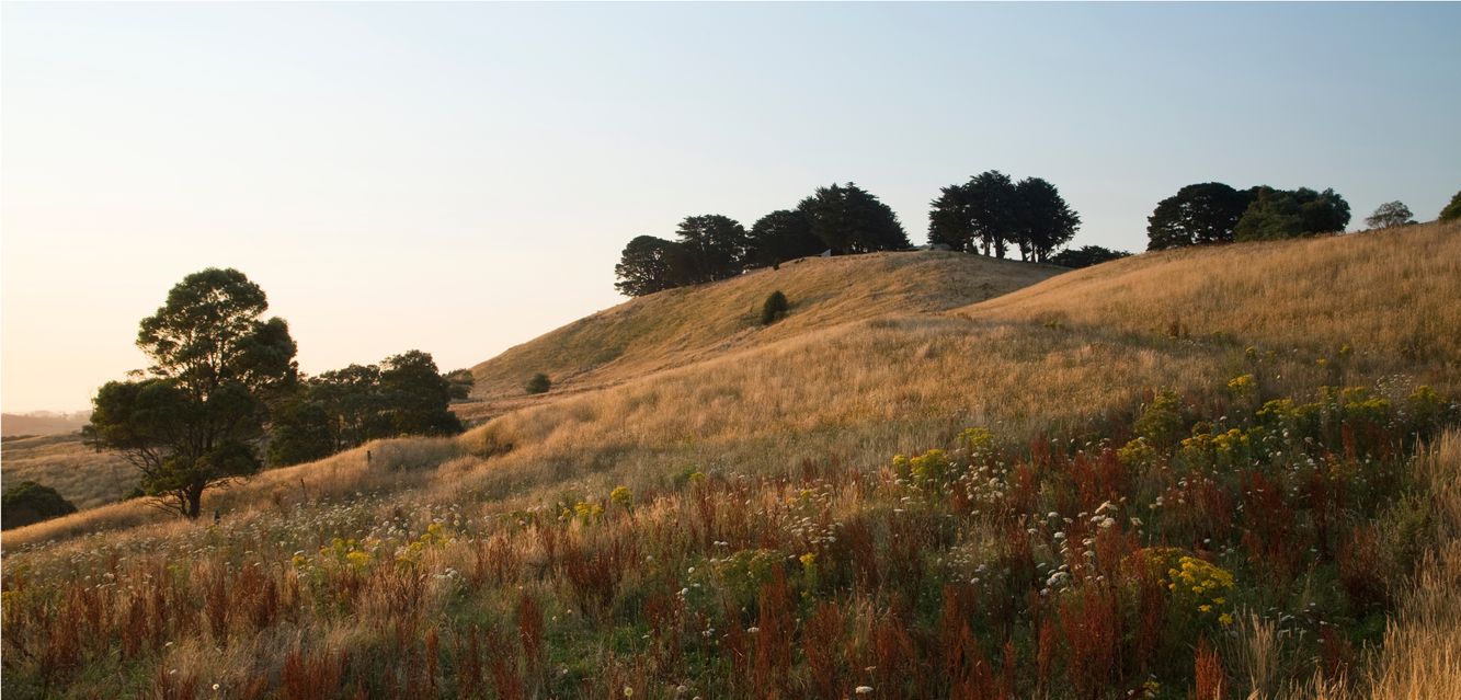 Rolling hiils near Warragul, Victoria.