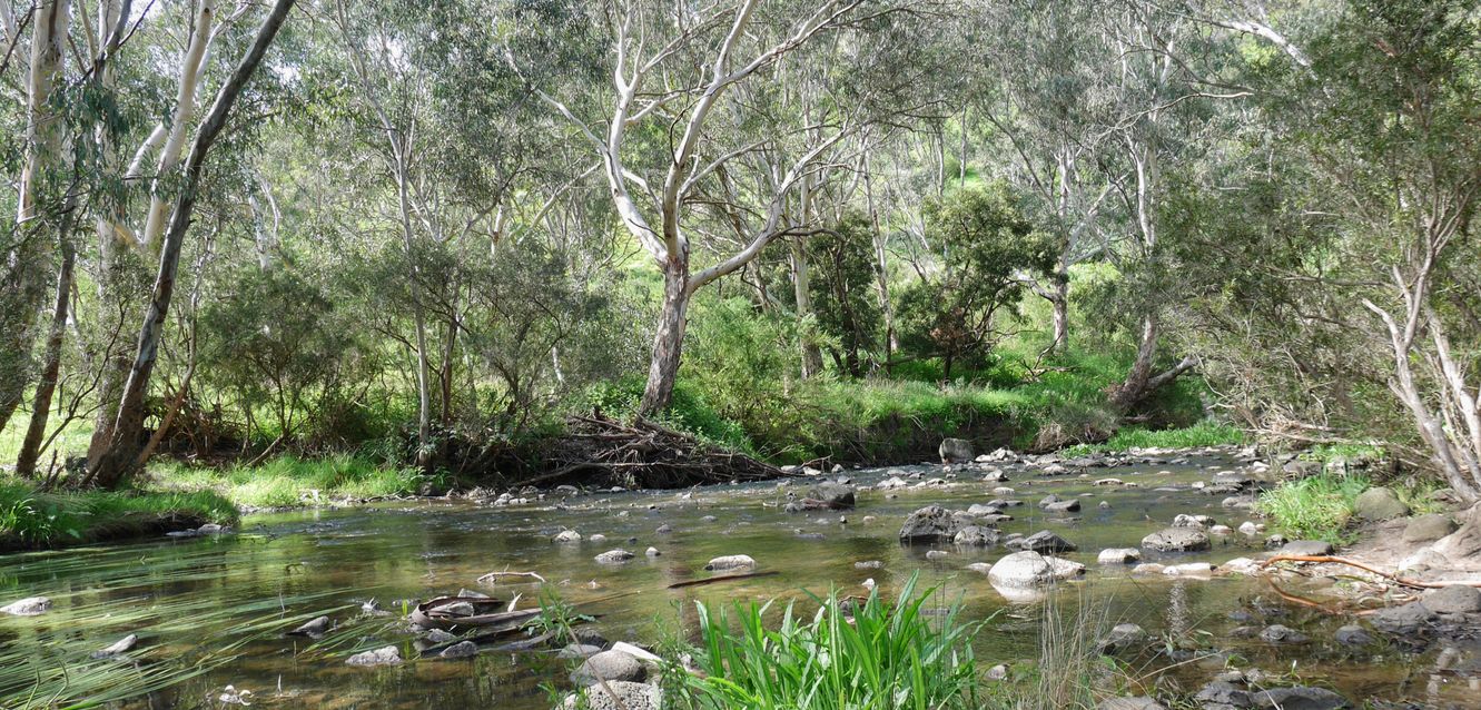 Organ Pipes National Park near Westmeadows, Melbourne.