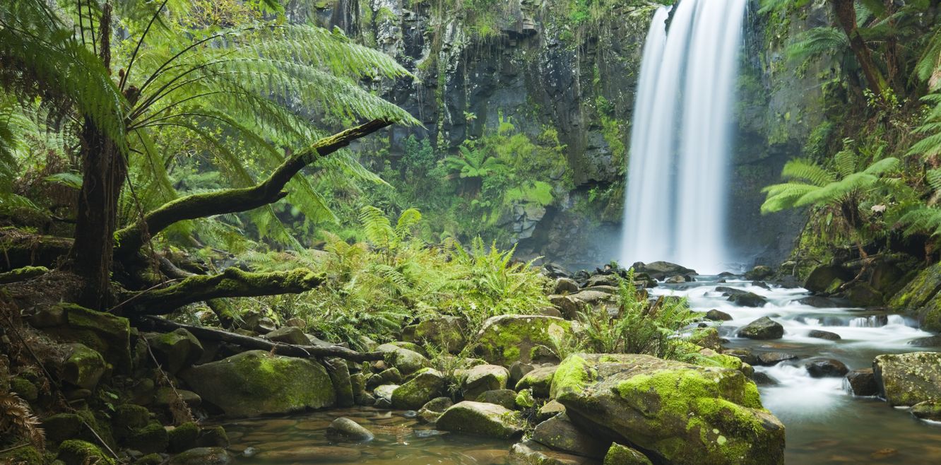 Hopetoun Falls in Great Otway National Park, Victoria.