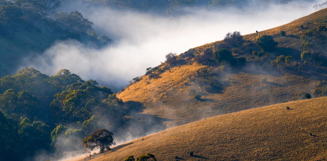Fog in the Adelaide Hills in South Australia.