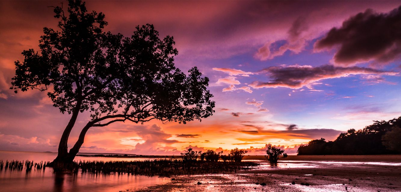 Sunset at East Point Reserve in Darwin