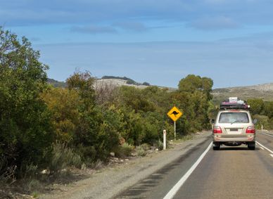 A fuel-efficient car is perfect for long Outback drives.