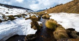 Canberra to the Australian Alps