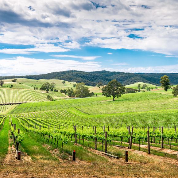 Picturesque wine valley in the Barossa, South Australia.