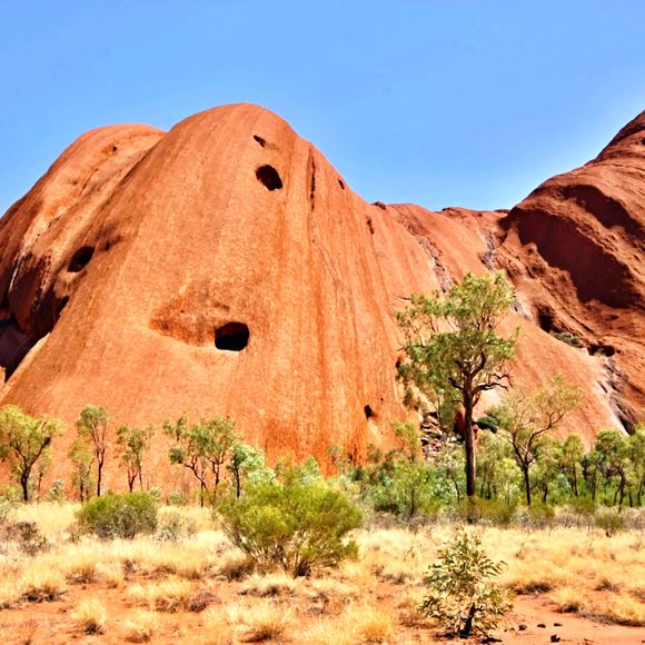 Sacred Uluru.