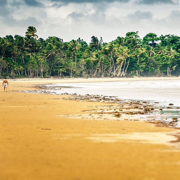 A windy day on Mission Beach.
