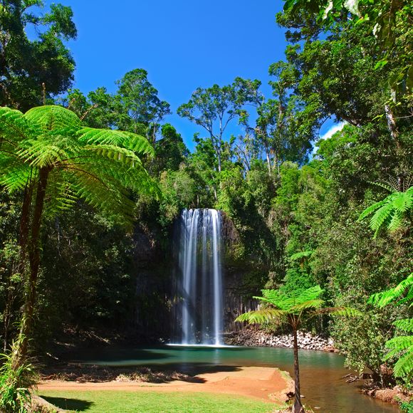 The majestic Millaa Millaa Waterfall.