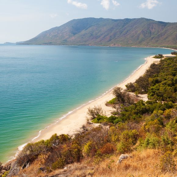 Where the Daintree meets the ocean at Cape Tribulation Beach.