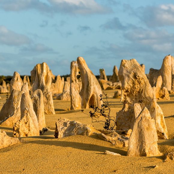 The Pinnacles at Nambung National Park.