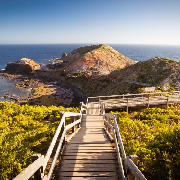 The famous Cape Schanck boardwalk runs towards the sea and rock formation known as London Bridge.