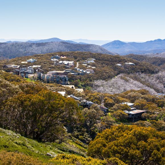 The rolling hills of Mount Buller.