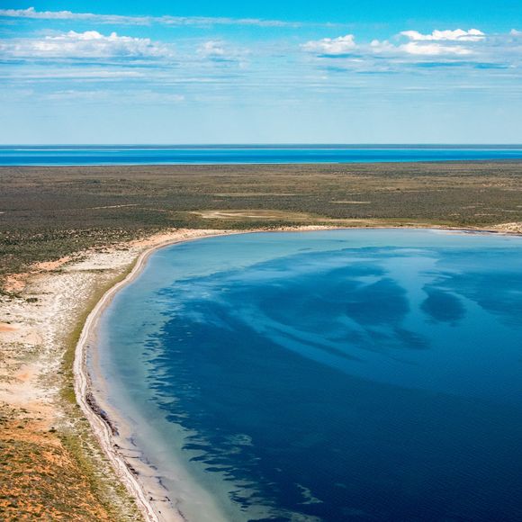 Monkey Mia in Shark Bay.