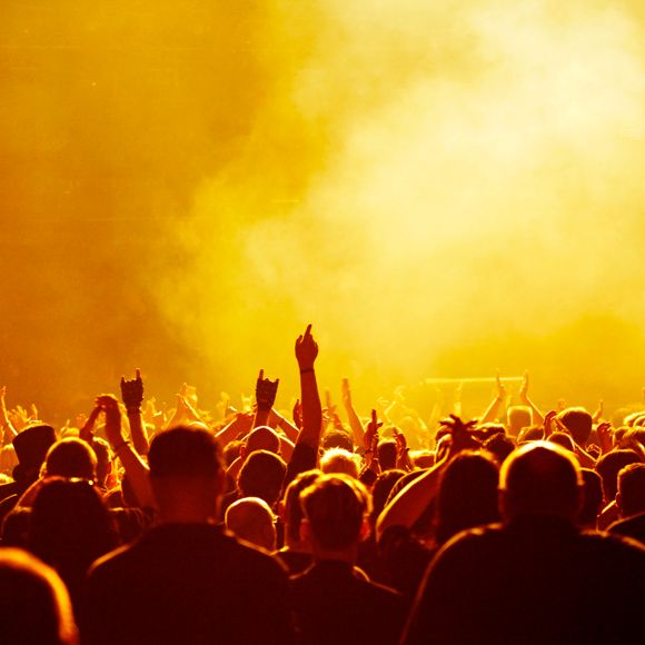 Cheering concert audience.