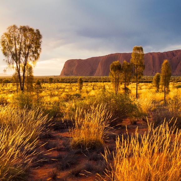 Classic outback scenery at Uluru.
