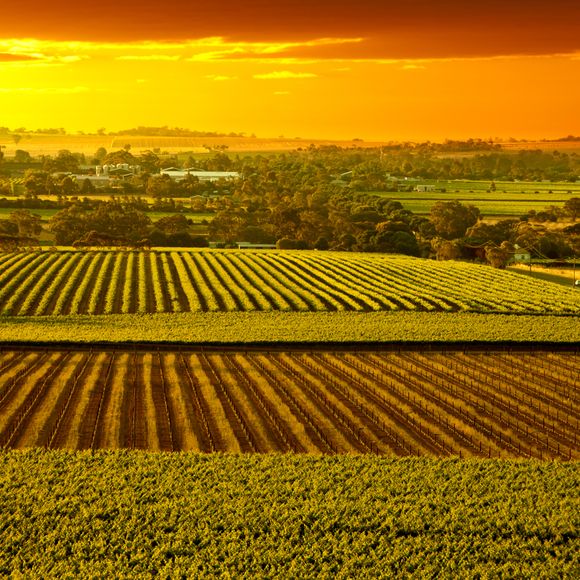 A Barossa Valley sunset.
