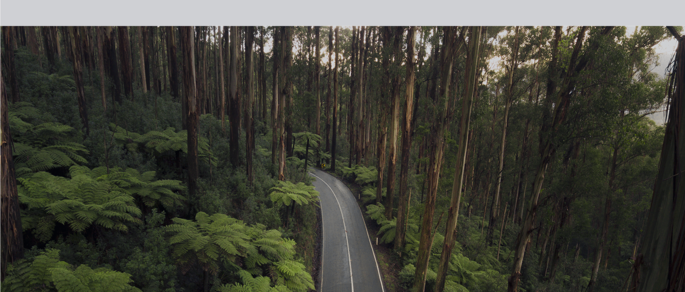 Comparing and booking a hire car is easy